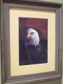 81eagle's Avatar