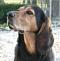 RUFUS's Avatar