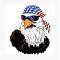 Mr. Eagle's Avatar